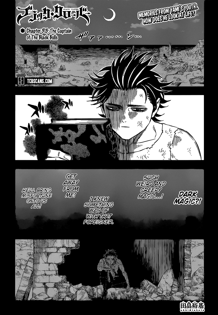 Black Clover, Chapter 313