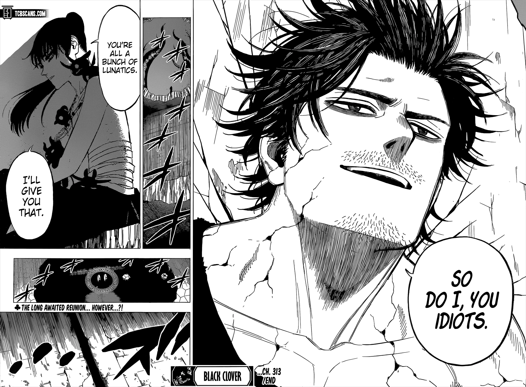 Black Clover, Chapter 313